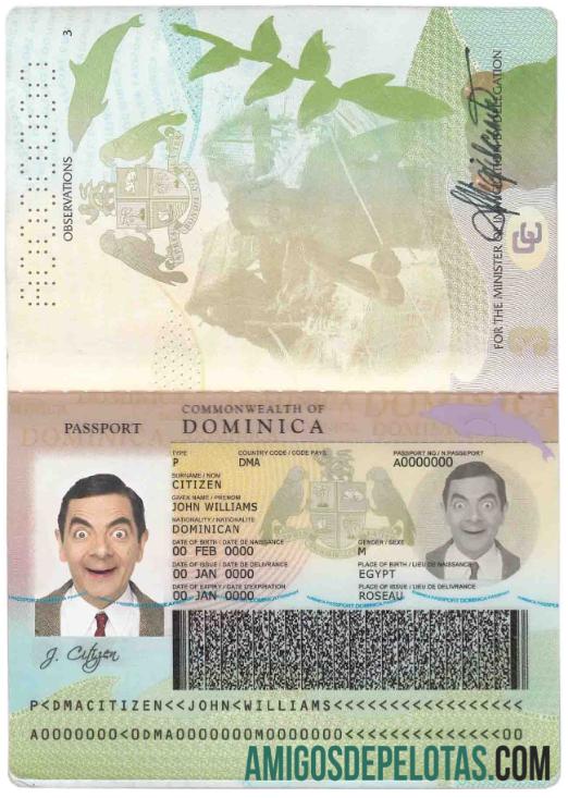 Passaporte Domínica baixar para verificação